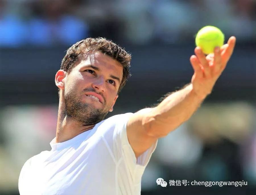 了统治级表 了统治级表